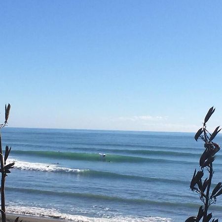Oakura Pond Cottage - A Unique Kiwi Holiday Bach 외부 사진