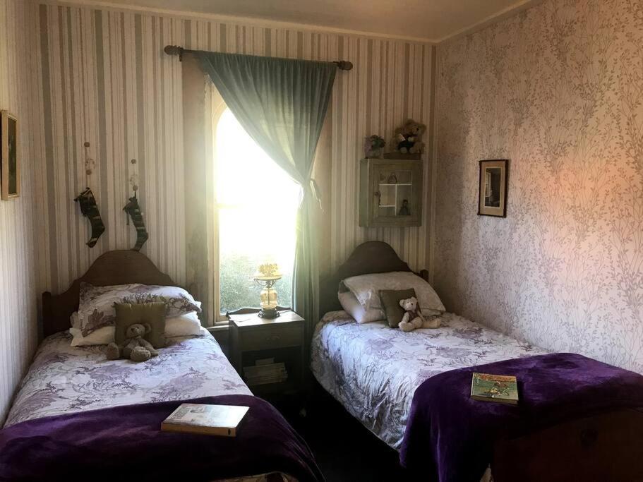 Oakura Pond Cottage - A Unique Kiwi Holiday Bach 외부 사진