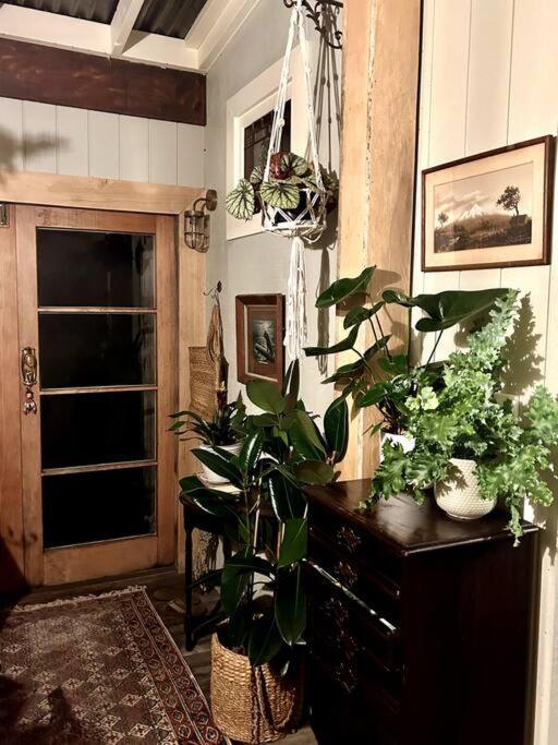 Oakura Pond Cottage - A Unique Kiwi Holiday Bach 외부 사진