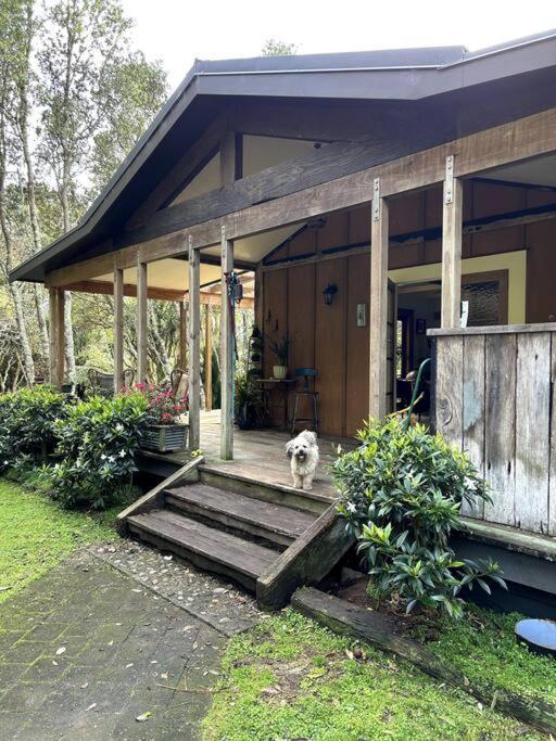Oakura Pond Cottage - A Unique Kiwi Holiday Bach 외부 사진